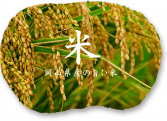 岡山県産のお米「朝日米」
